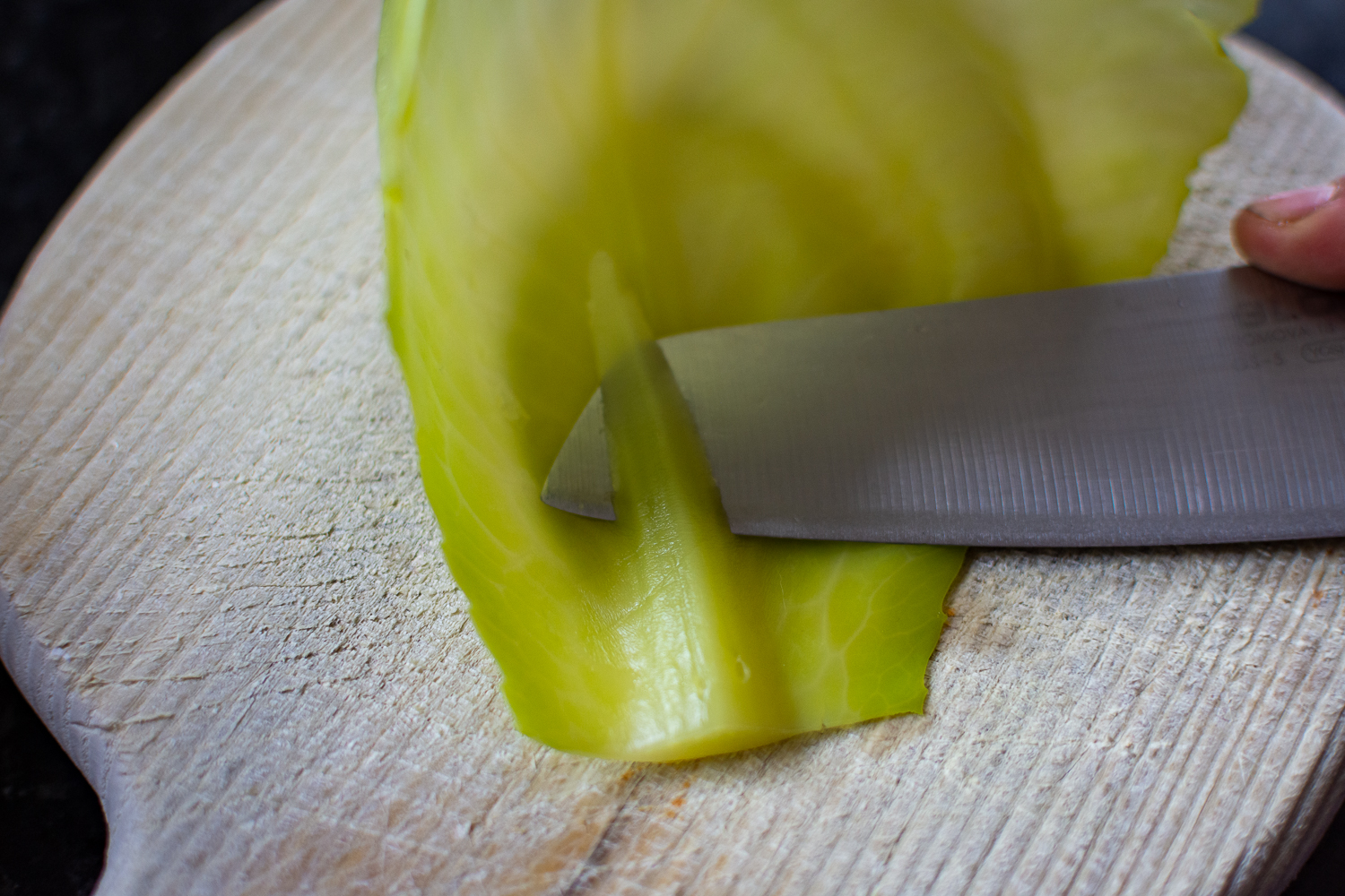Cutting a thick stalk of a cabbage leaf. 