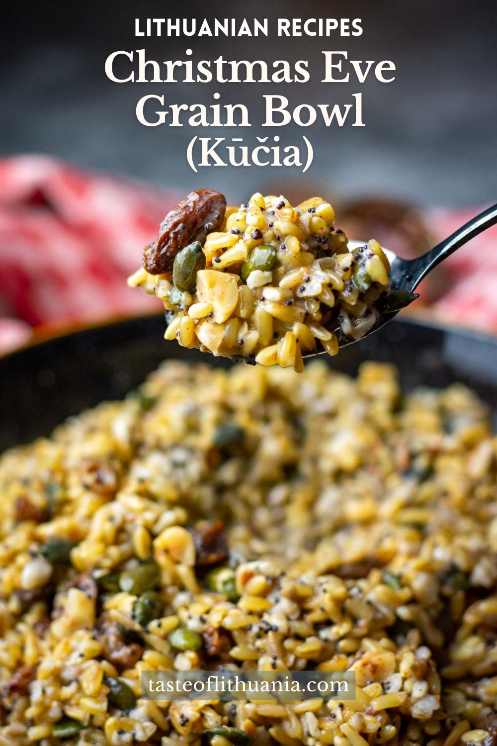 Traditional Lithuanian Christmas Eve Dish - Kucia - Pin for Pinterest.