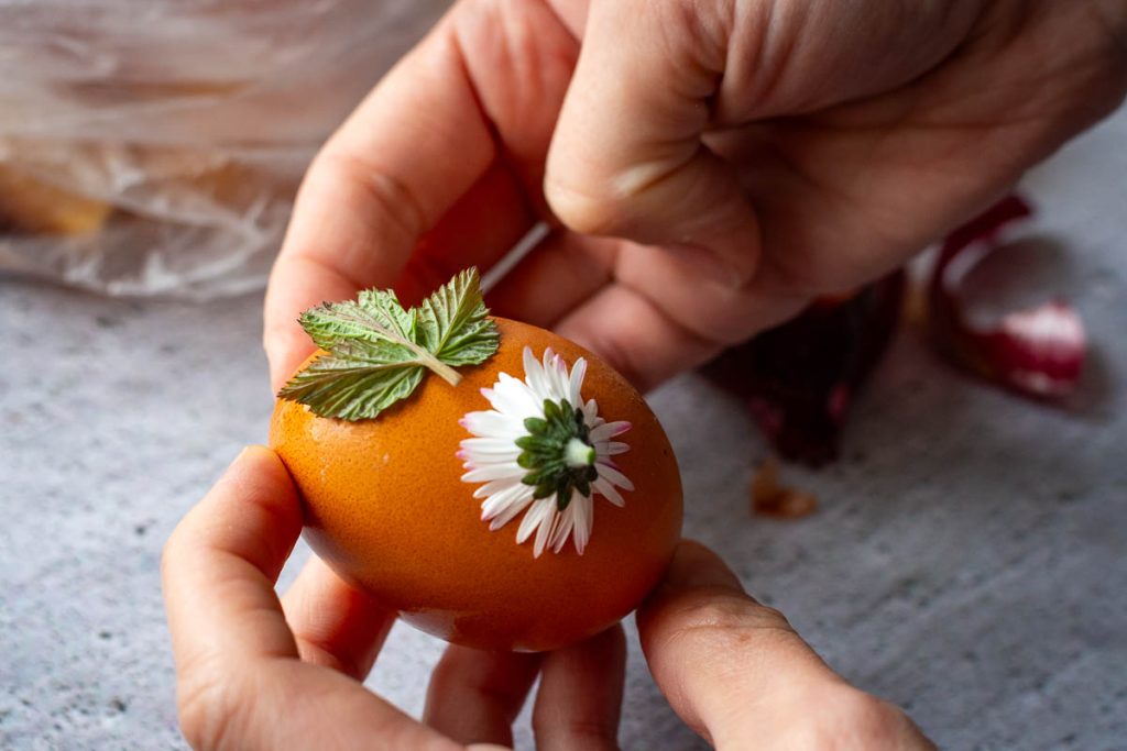 Pressing the leaves and flowers onto a wet raw egg. 