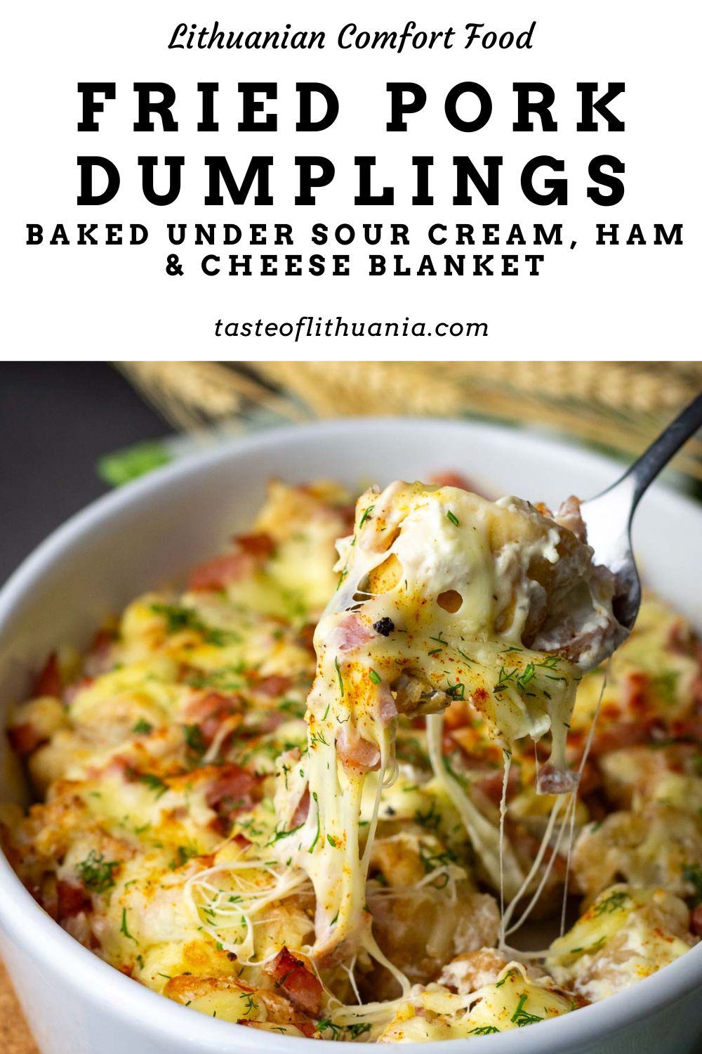 Lithuanian fried pork dumplings baked with sour cream, ham and cheese. Pin for Pinterest. 