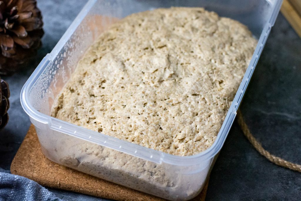 doubled Rye Sourdough levain after fermenting overnight in a plastic container.