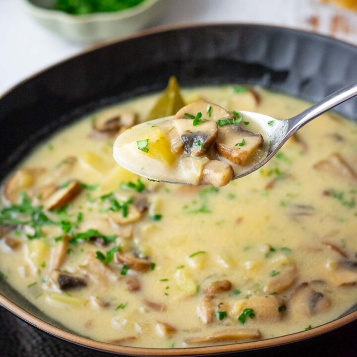 A spoonful of Lithuanian mushroom soup being taken out of a bowlful of it.
