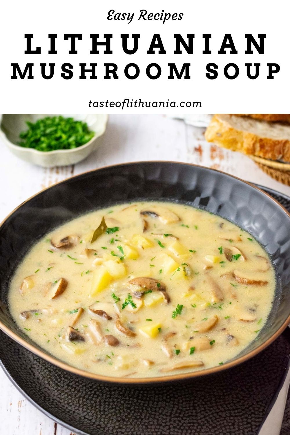 A bowlful of Lithuanian mushroom soup with potatoes and sour cream. Pin for Pinterest. 